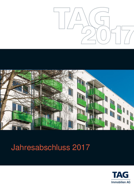 Jahresabschluss 2017 (HGB)